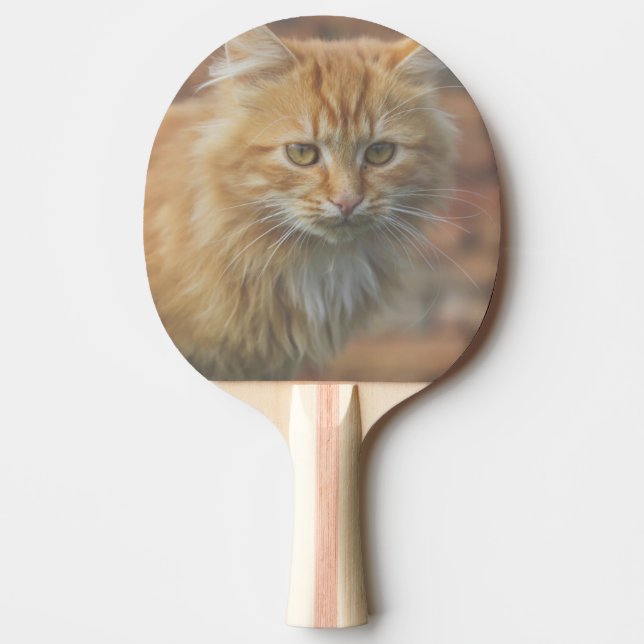 Cute Funky Ginger Cat Kitten Face Ping Pong Paddle (Front)