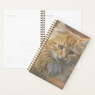 Cute Funky Ginger Cat Kitten Face Planner