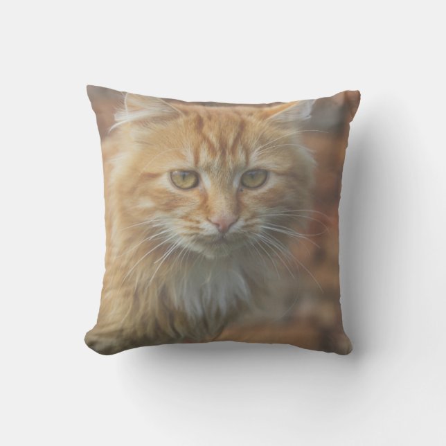 Cute Funky Ginger Cat Kitten Face Throw Pillow (Front)