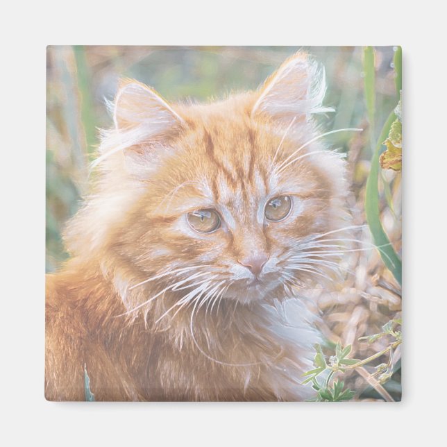 Cute Funky Ginger Cat Kitten Painting Magnet (Front)