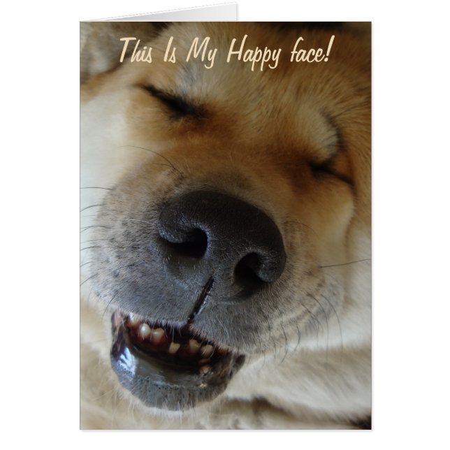 cute funny akita happy smiling dog cards (Front)