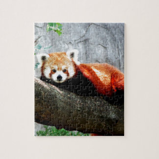 cute funny animal red panda jigsaw puzzle