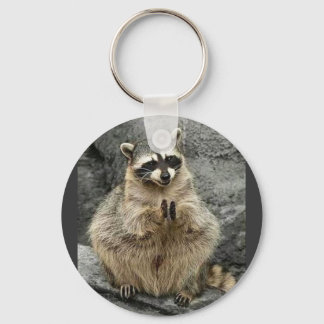 cute_funny_animals_35 RACCOON Praying Sitting Keychain