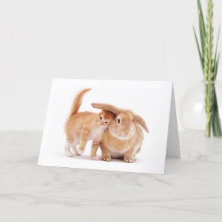 cute_funny_animals_8 kitten bunny rabbit friends card