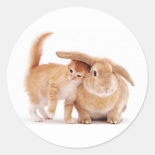 cute_funny_animals_8  kitten bunny rabbit friends classic round sticker