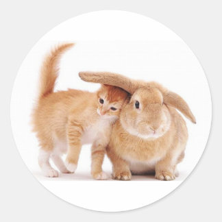 cute_funny_animals_8  kitten bunny rabbit friends classic round sticker