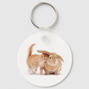 cute_funny_animals_8  kitten bunny rabbit friends  keychain