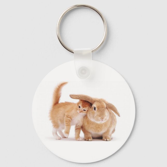 cute_funny_animals_8  kitten bunny rabbit friends  keychain (Front)