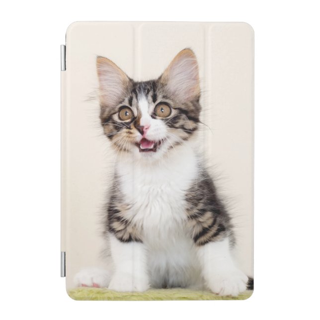 Cute Funny Baby Cat iPad Smart Cover (Front)