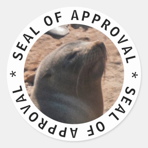 Cute funny baby seal of approval sticker