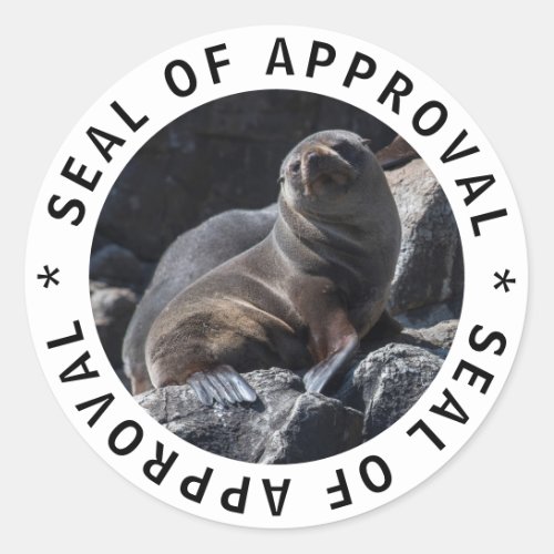 Cute funny baby seal of approval sticker