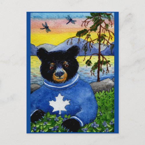 Cute Funny Black Bear Algonquin Park postcard