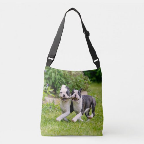 Cute funny Boston Terrier dogs puppies playing _ Crossbody Bag