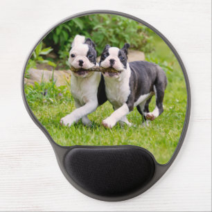 Cute funny Boston Terrier dogs puppies playing Gel Mouse Pad
