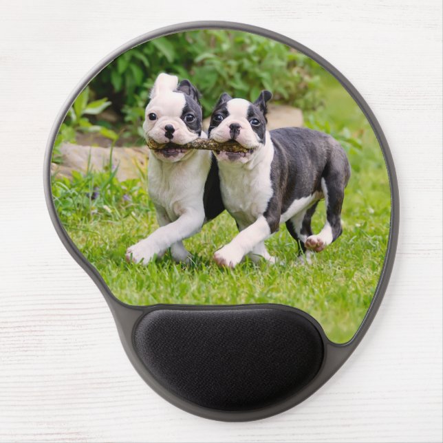 Cute funny Boston Terrier dogs puppies playing Gel Mouse Pad (Front)