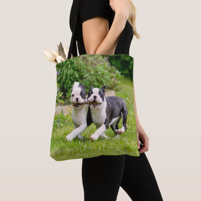 Cute funny Boston Terrier dogs puppies playing - Tote Bag (Close Up)