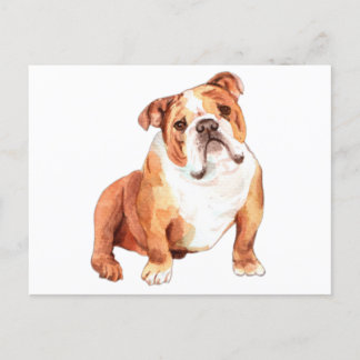 Cute funny British Bulldog sitting Postcard