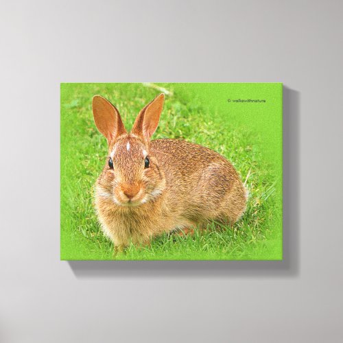 Cute Funny Bunny Nibbling  Fairway Greens Canvas Print