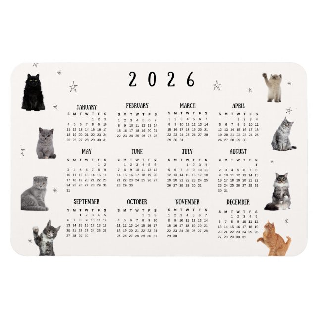 Cute Funny Cat 2026 Calendar Magnet (Horizontal)
