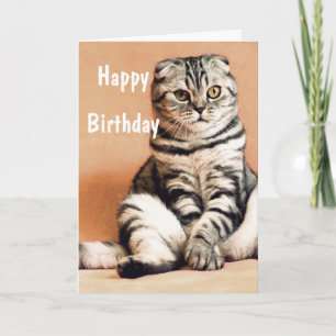 Cute Funny Cat Happy Birthday Card