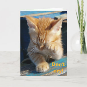 Cute Funny Cat Happy Birthday Greeting Card