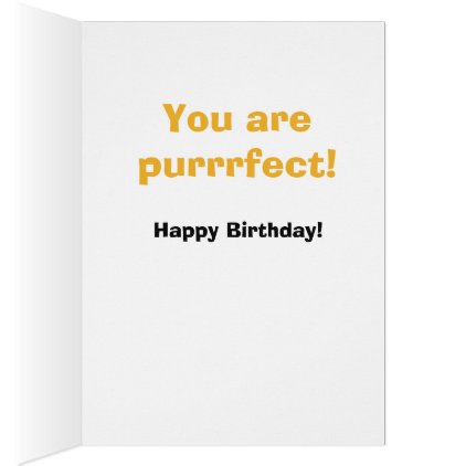 Cute Funny Cat Happy Birthday Greeting Card