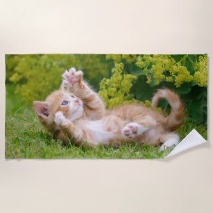 Cute funny cat kitten playing in a flowery garden beach towel