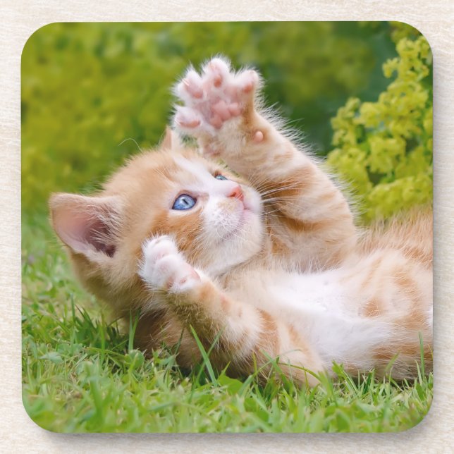 Cute funny cat kitten playing in a flowery garden beverage coaster (Front)