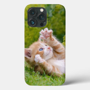 Cute funny cat kitten playing in a flowery garden iPhone 13 pro case