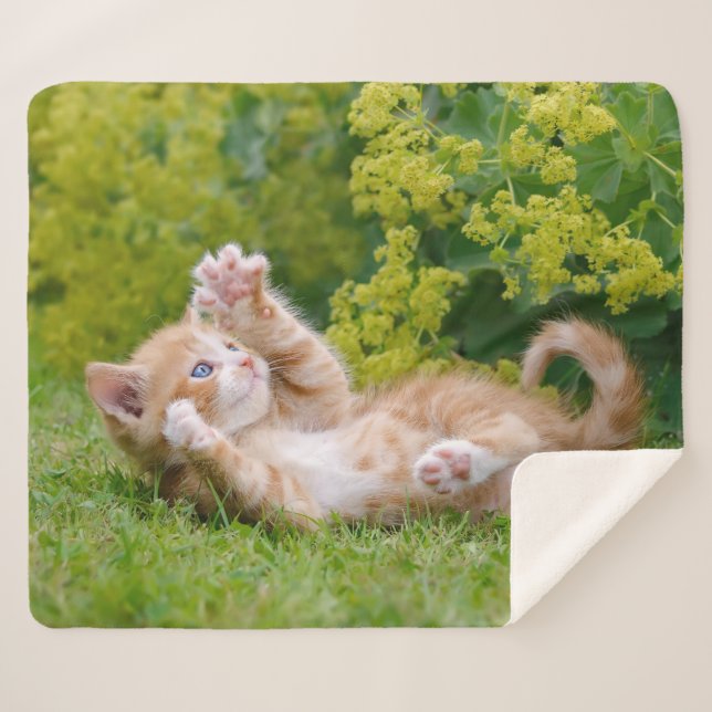 Cute funny cat kitten playing in a flowery garden sherpa blanket (Front (Horizontal))