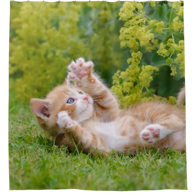 Cute funny cat kitten playing in a flowery garden shower curtain (Front)