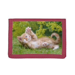 Cute funny cat kitten playing in a flowery garden tri-fold wallet
