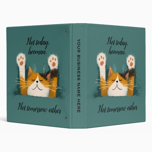 Cute Funny Cat Nap 3 Ring Binder (Background)