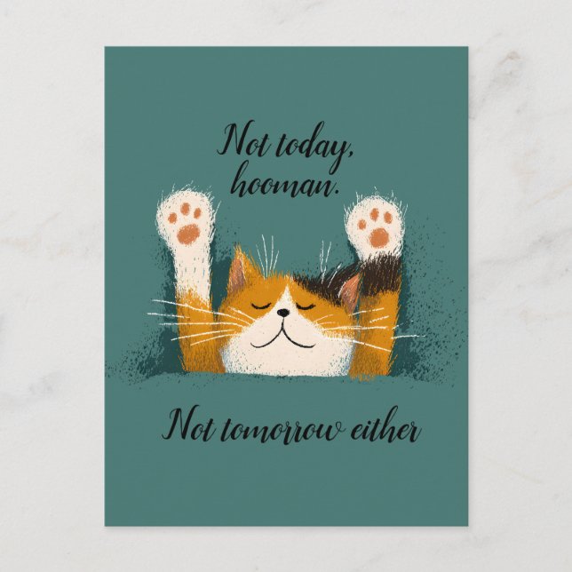Cute Funny Cat Nap Announcement Postcard (Front)