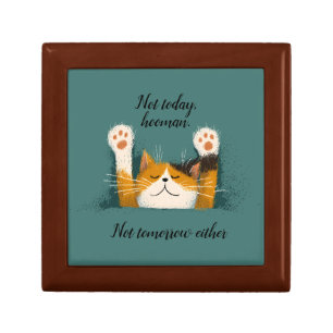 Cute Funny Cat Nap Gift Box