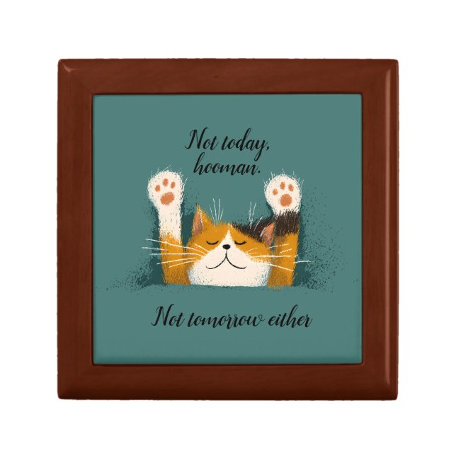 Cute Funny Cat Nap Gift Box (Front)