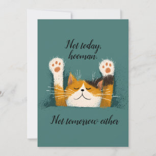 Cute Funny Cat Nap Holiday Card