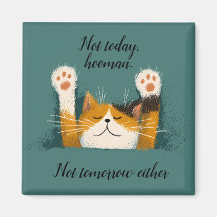 Cute Funny Cat Nap Magnet