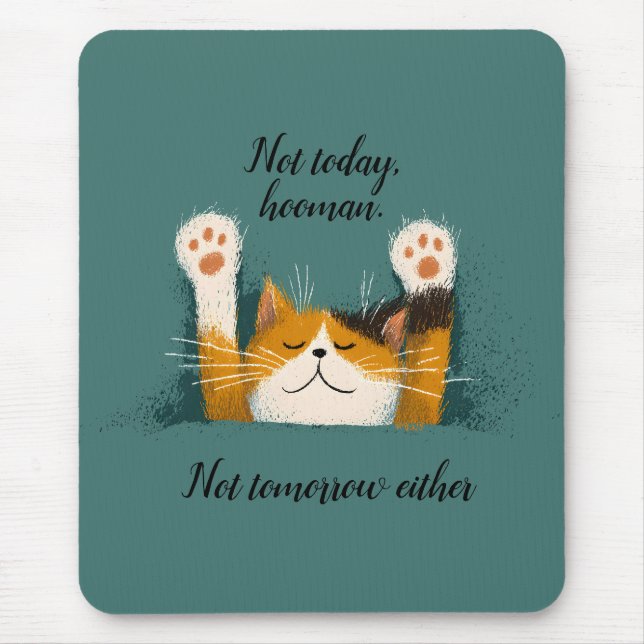 Cute Funny Cat Nap Mouse Pad (Front)
