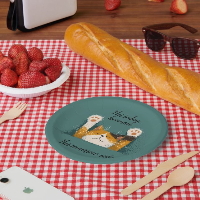 Cute Funny Cat Nap Paper Plates (Picnic)