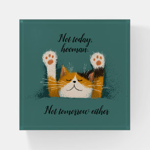 Cute Funny Cat Nap Paperweight