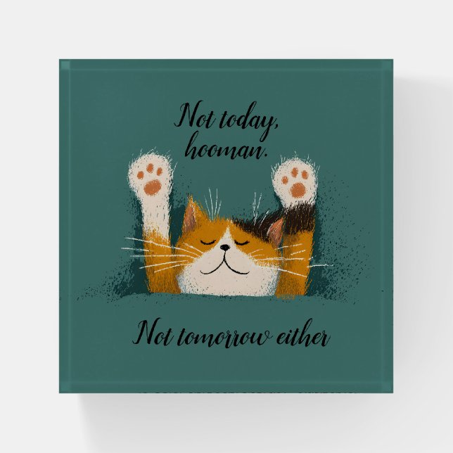 Cute Funny Cat Nap Paperweight (Front)