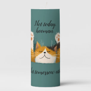 Cute Funny Cat Nap Pillar Candle