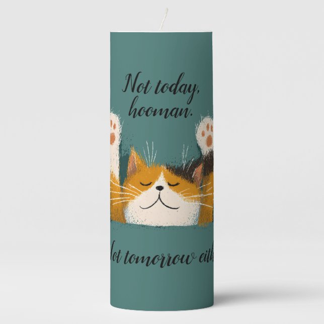 Cute Funny Cat Nap Pillar Candle (Front)