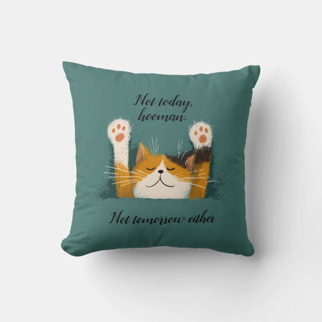 Cute Funny Cat Nap Throw Pillow (Front)