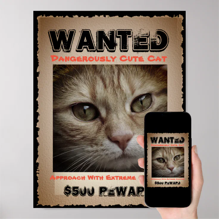 Cute Funny Cat Wanted Picture Poster | Zazzle