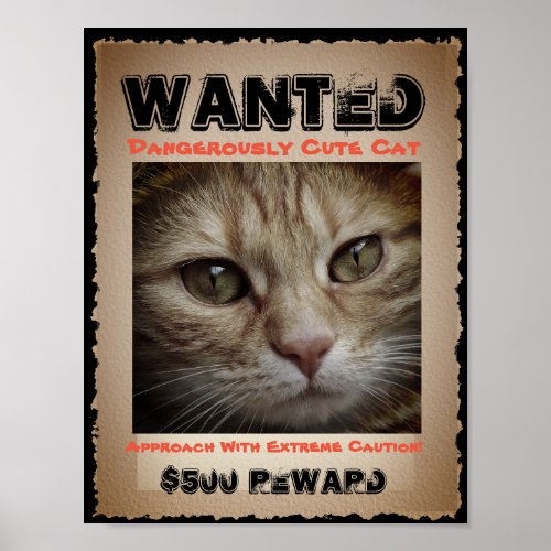 Cute Funny Cat Wanted Picture Poster