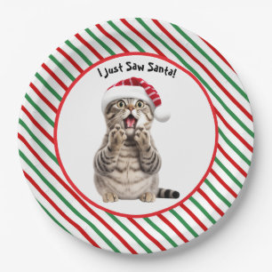 Cute Funny Christmas Cat Paper Plate