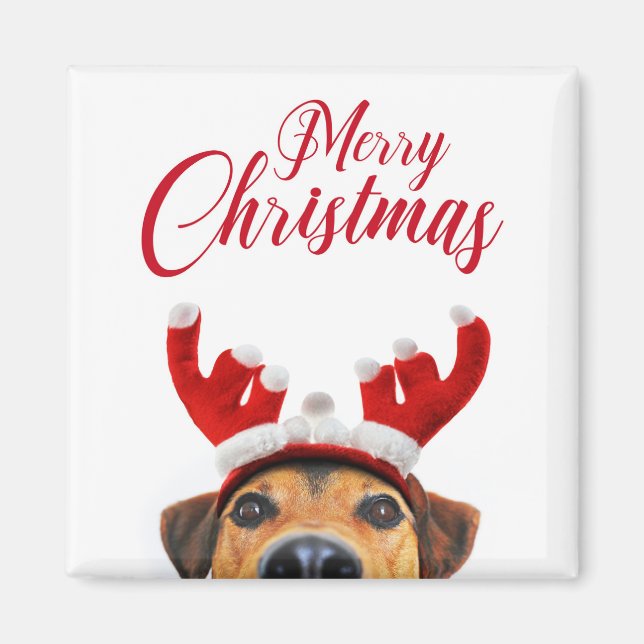 Cute Funny Christmas Dog Reindeer Antler Headband Magnet (Front)