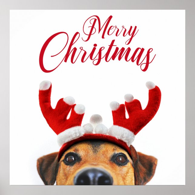 Cute Funny Christmas Dog Reindeer Antler Headband Poster (Front)